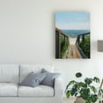 thumbnail image 3 of Trademark Fine Art 'Beach Walk Way' Canvas Art by Paul Walsh, 3 of 3