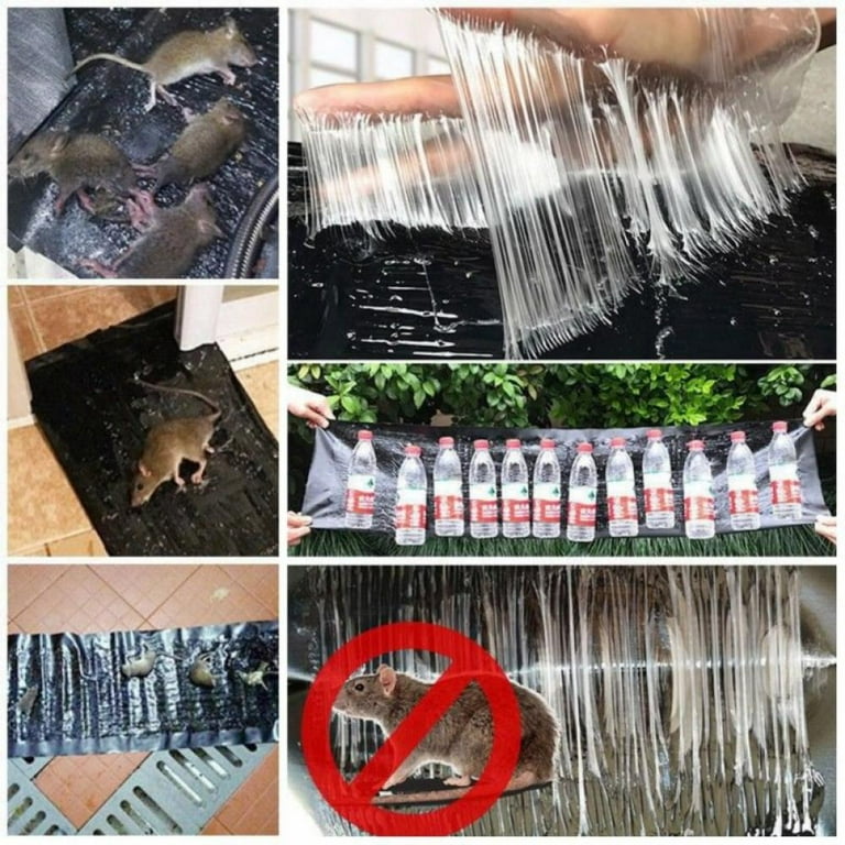Deago 10 Pack Large Mouse Glue Traps with Enhanced Stickiness Snake Rat  Mouse Traps Sticky Pad Board for House Indoor Outdoor