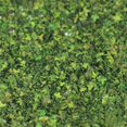thumbnail image 1 of maskred 40g Miniature Feuille Statique Modèle Chemin de Fer Sable Table Décoration Jardin Fée Vert, 1 of 1