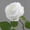 White, variant on Bcylexb 19.7" Imitation Rose Flowers for Valentine's Day, Artificial Bloom with Stem for Display, Gift Fake Flowers Decor for Home, Wedding or Party, Beige