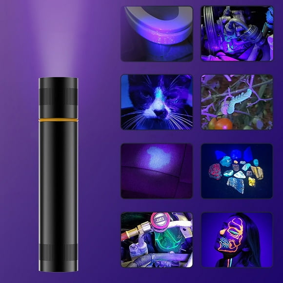 Dvkptbk Black Light Violet Light Flashlight 365Nm Led 1 Pack Violet Blacklight Flashlight Mini Powerful Pet Urine Detector for Dog Cats Carpet Dry Stains Detection Handheld Lamp Sports & Outdoors