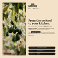 thumbnail image 3 of Papa Palermo Avocado Oil, 17 fl oz, 500 ml, 3 of 7