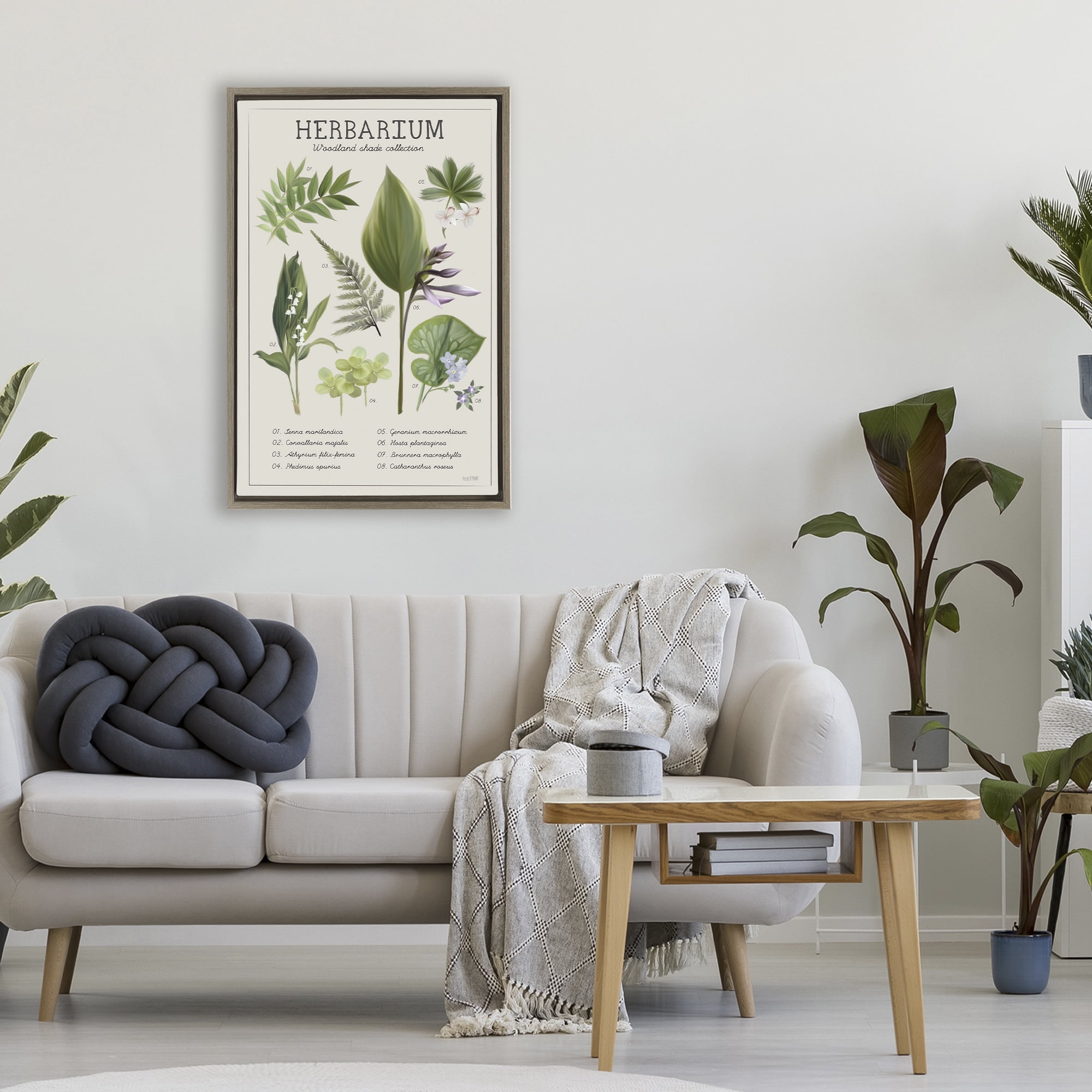 Stupell Industries Herbarium Woodland Shade Collection Brown Framed Floater Canvas Wall Art, design by House Fenway