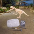 thumbnail image 4 of Kit de excavación de esqueleto de dinosaurio Actividad de paleontología y arqueología 3D Dino tiranosaurio, 4 of 9
