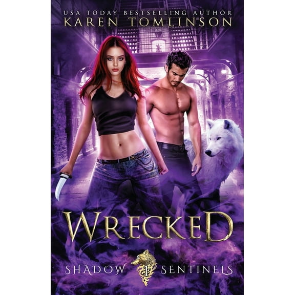 Shadow Sentinels: Wrecked (Series #2) (Paperback)