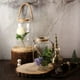 Efavormart 2 Pack 16.5" Clear Glass Vase Jar with Twine Rope Handle DIY Hanging Glass Terrariums ...
