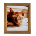 thumbnail image 4 of ArtToFrames 16" x 24" Gold with Green Tones Picture Frame, 16x24 inch Gold Wood Poster Frame (WOM-5079), 4 of 6