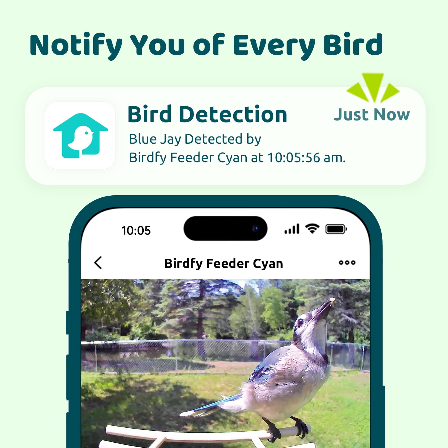 Birdfy Smart Bird Feeder with Camera, AI Identify 6000+ Species, Solar Powered,Eco-friendly Wooden, Ideal Gift, Cyan