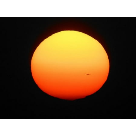 Craigslist Ft Myers Fl Furniture Silhouette of Bird Flying in Front of Sun Globe, Ft. Myers, Florida, USA Print Wall Art By Arthur Morris ()