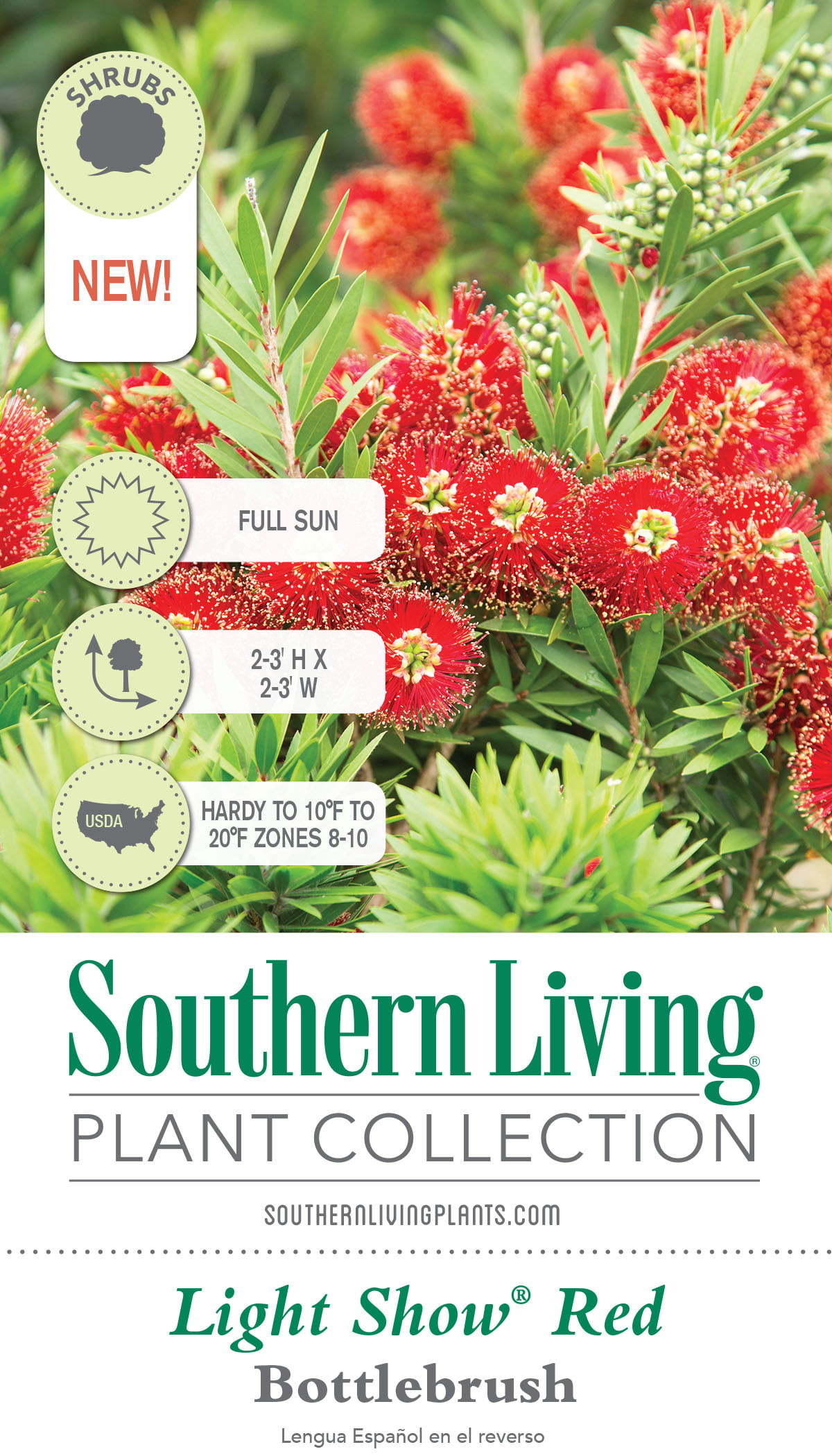 Light Show® Red Bottlebrush - Southern Living Plants
