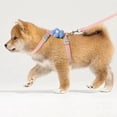 thumbnail image 6 of Cat Harness and Leash Sets Adjustable Dog Harness for Small Dog Leash Breashable Pet Harness Out Walking Dog Strap, 6 of 10
