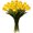 No vase-Yellow, variant on 15 PCS Radiant Romantic Tulip Light with a Vase, LED Artificial Flowers Ambient Night Lamp, Gentle Lighting, Twinkling Led Tulips for Bedroom Bedside Decor & Gift