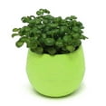 thumbnail image 6 of Farfi Cute Succulent Plants Flower Pot Saucer Tray Planter Home Desk Garden Decor (White), 6 of 13