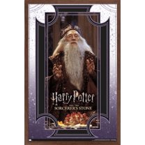 Harry Potter and the Sorcerer's Stone - Dumbledore Wise Wall Poster, 14.725" x 22.375", Framed