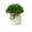 C, variant on Artificial Potted Plants Small Faux Greenery Ornaments Realistic Plastic Silk Grass in Pots for Shelf Desk Bathroom Home Office Decor