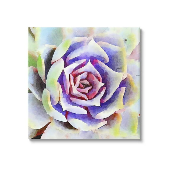 Stupell Industries Bold Succulent Watercolor Leaves Botanical & Floral Painting Gallery Wrapped Canvas Print Wall Art