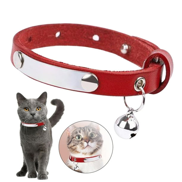 Outdoor cat collar sales