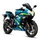 thumbnail image 1 of MOTOCICLETA DEPORTIVA DAYTONA GP1R 300 VERDE, 1 of 2
