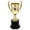 Doré, variante sur Miangastore Trophée de Récompense pour Enfants Coupe Trophée pour Enfants Récompense de Classe d'École Compétition Sportive