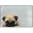 thumbnail image 3 of GZHJMY Cute Pug Dog Non Slip Area Rug for Living Dinning Room Bedroom Kitchen, 4' x 6'(48 x 72 Inches), Animal Dog Nursery Rug Floor Carpet Yoga Mat, 3 of 6