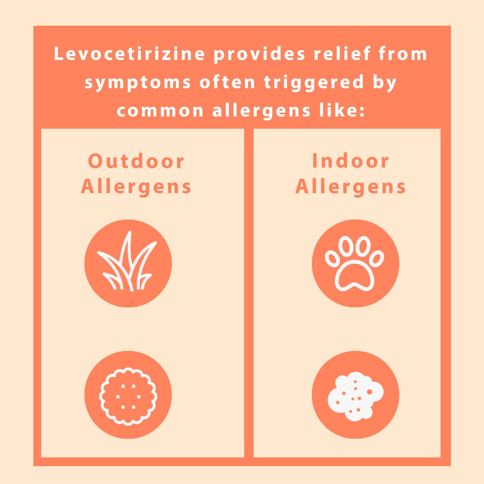 Curist Levocetirizine 5 mg (365 Tablets) Seasonal Antihistamine for Allergy Relief - Non-Drowsy Formula with 24 Hour Itch, Sneezing & Runny Nose Relief