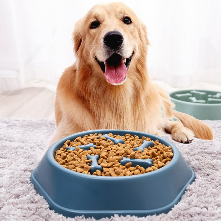 Pet Slow Eating Dish Bowl Cat Dog Anti Choking Puppy Slow Feeder Food  Dispenser
