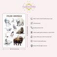 thumbnail image 3 of Eastern Print Educational Polar Animals Poster, Toddler Activity Toys Decor, Preschool Poster, Kids Study Material Wall Art for Nursery, Classroom, Bedroom, Pre School Kids Learning, UNFRAMED 16x20, 3 of 4