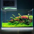 thumbnail image 1 of unbranded Iluminación LED Para Acuario Clip Fácil De Instalar Y Uso Diario, 1 of 6
