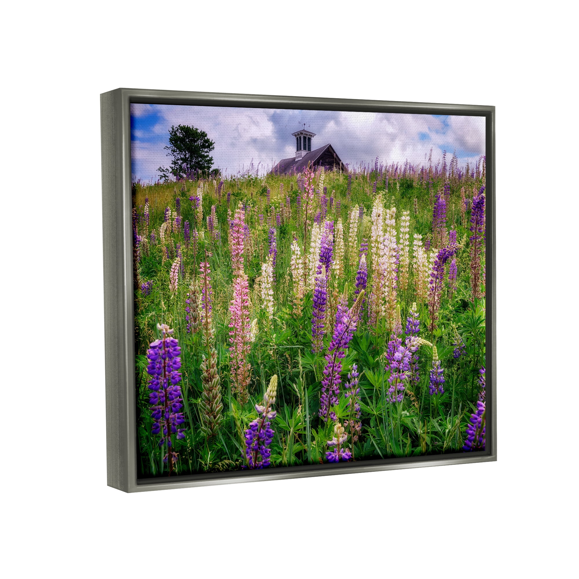 Stupell Wild Lavender Field Grassland Landscape Photography Gray Floater Framed Art Print Wall Art