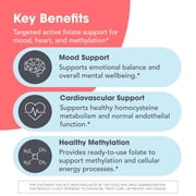 MethylPro 5mg L Methylfolate - Professional Strength Active Methyl Folate Supplement for Brain Support & Balanced Mood - Gluten-Free Cognitive Supplement with No Fillers (30 Capsules)