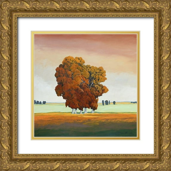 Bradshaw, Don 20x20 Gold Ornate Wood Framed with Double Matting Museum Art Print Titled - Satura Plains