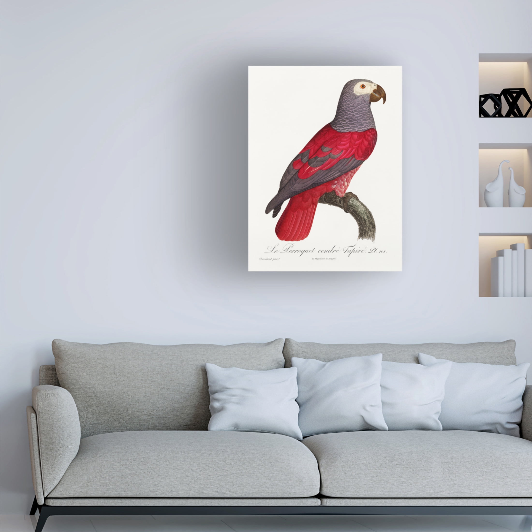 Trademark Fine Art Francois Levaillant Levaillant Parrot XI Canvas Wall Art