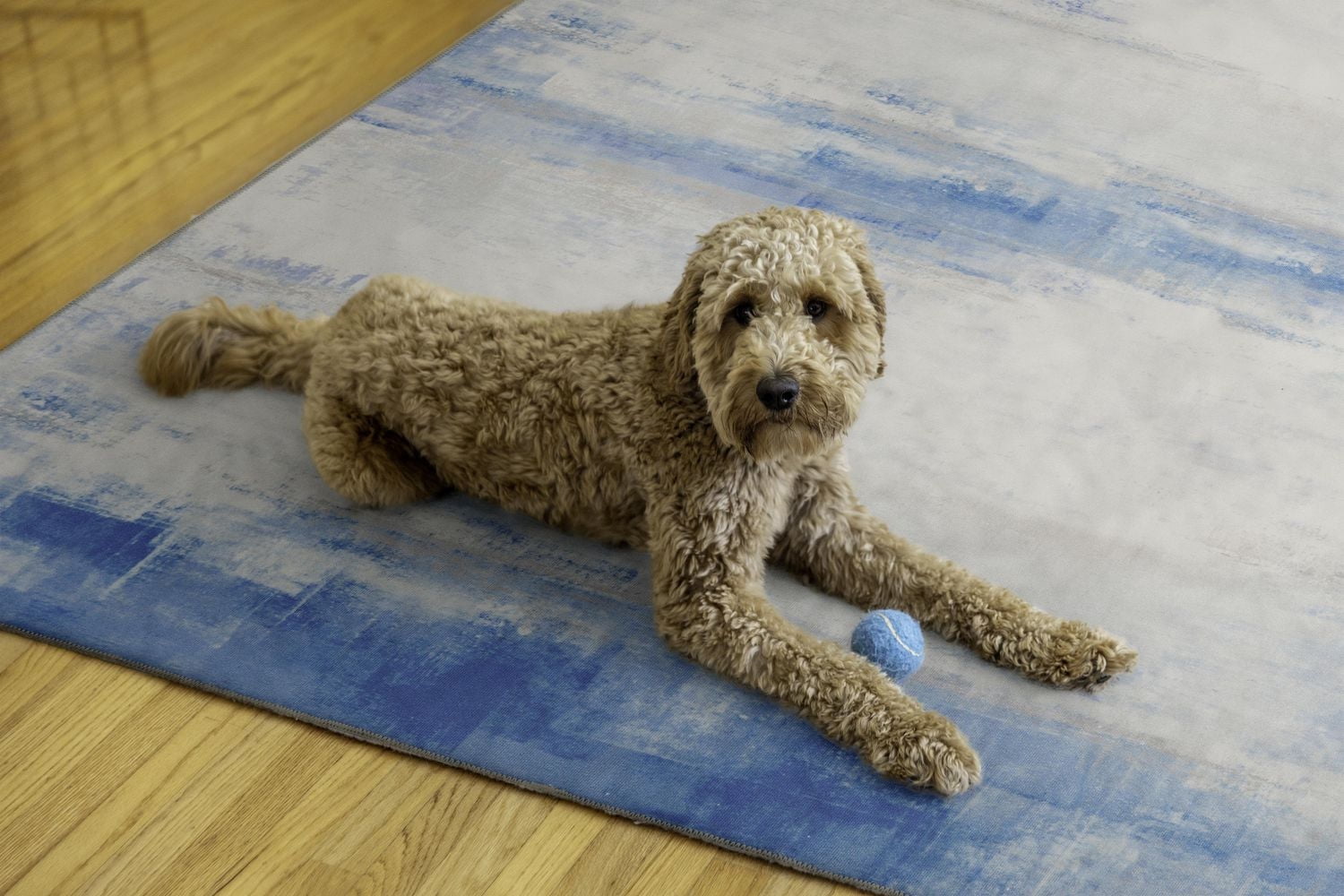 Tiana 5' x 7' Washable Area Rug, Ivory and Blue