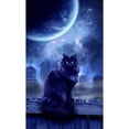 thumbnail image 1 of Cuadros Decorativos Pintura de diamante 5D Luna Gato negro DIY Kit de arte de taladro redondo completo Diamante de imitación para el hogar Ehuebsd Nuevos Originales, 1 of 8