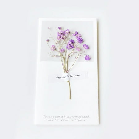 

10pcs Birthday Party Greeting Cards Dried Flower Gift Parrty Wish (2pcs Purple Forget-Me-Not 2pcs Purple Babysbreath 2pcs Blue Babysbreath 2pcs Desmodium Gyrans 2pcs Yellow Forget-Me-Not)