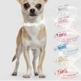thumbnail image 3 of El collar para perros con diamantes de imitación brillantes y el collar para perros con diamantes es adecuado para perros pequeños y medianos., 3 of 5