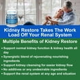 Healthy Kidney Kidney Restore Kidney Detox Supplement plus Vitamins