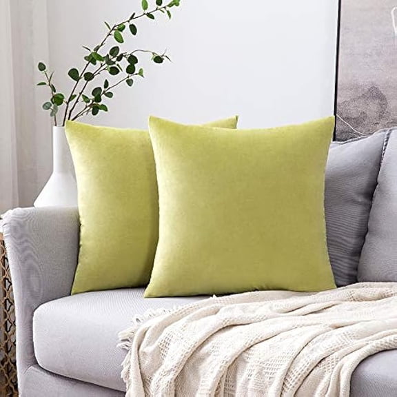 Eryueer Velvet Soft Decorative Square Throw Pillow Case Cushion Covers Pillowcases for Livingroom Sofa Bedroom with Invisible Zipper 20"x20" 2 Pieces Avocado