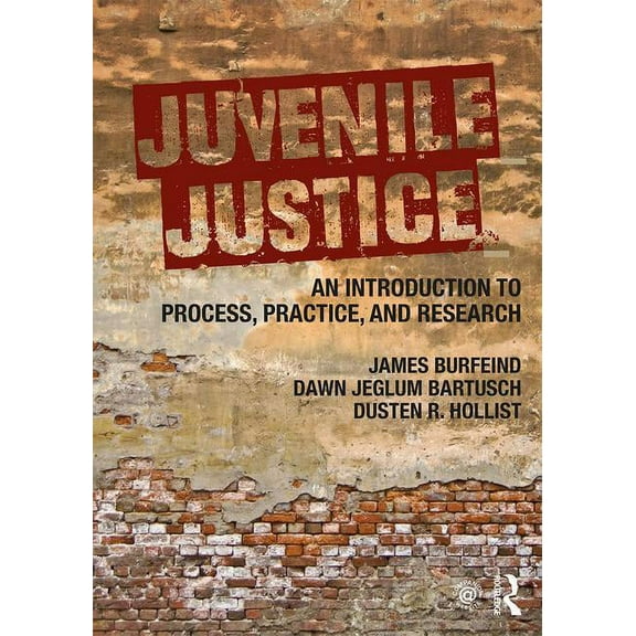 Juvenile Justice: An Introduction to Process, Practice, and Research, (Paperback)