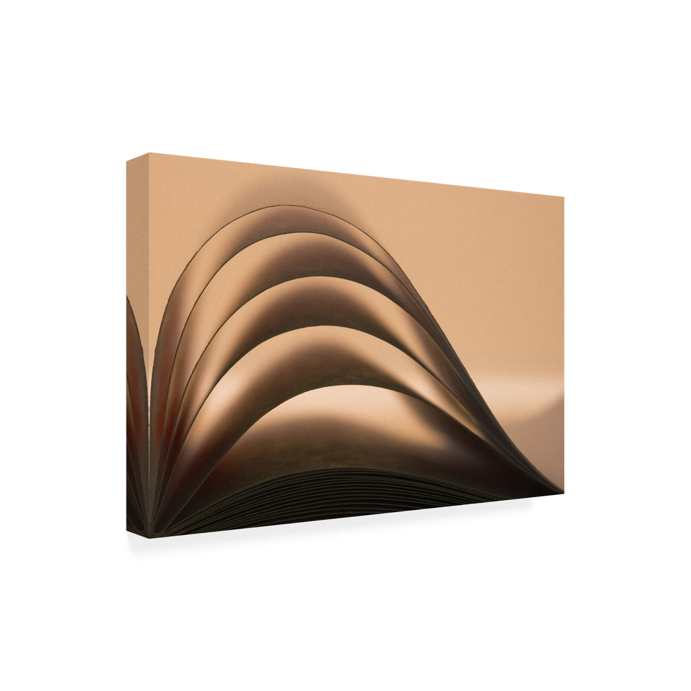 Canvas Wall Art - Hilde Ghesquiere 'Wave' Wall Art for Living Room, Bedroom, or Office D?cor by Trademark Fine Art - 47 x 30 Inches