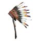 thumbnail image 2 of de plumas , sombrero de jefe para espectáculo de máscaras de festival de danza, 2 of 8