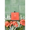 thumbnail image 5 of Gel de baño y esponja exfoliante SPONGELLÉ Lily of The Valley, 5 of 5