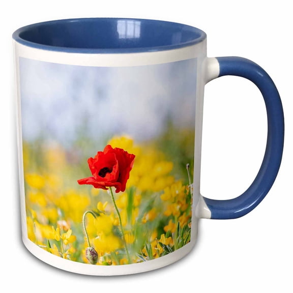 3drose, Portugal, Evora. Red Poppy Flower in Field of Yellow Blooming Canola., 11oz Two-tone Blue Mug