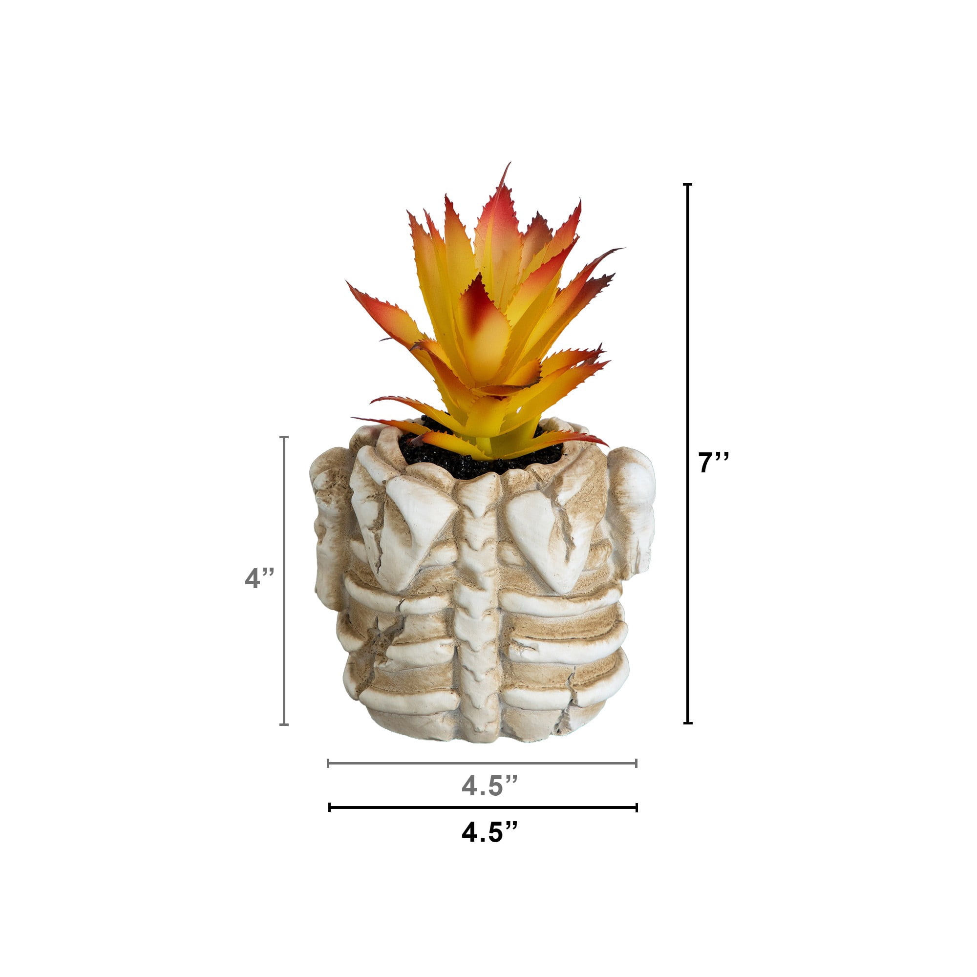7in. Artificial Halloween Succulent Plant in Skeleton Planter