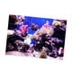 thumbnail image 1 of Telón De Fondo 3D Acuario Bajo el Interior TV Papel Tapiz Vinilo Fotografía Fondo Niños De Niños, 1 of 5