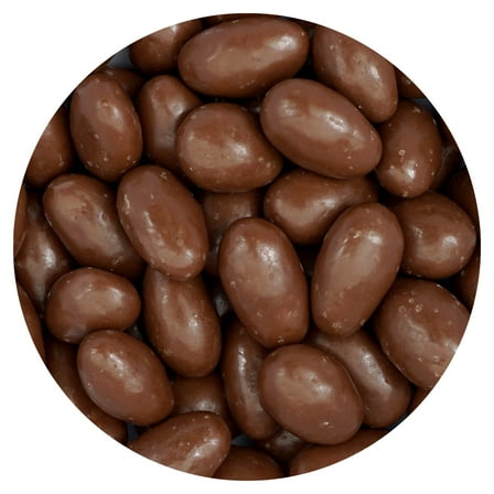 Milk Chocolate Covered Almonds, 1 Pound Bulk Bag, Chocolate Covered Nuts, The Hampton Popcorn & Candy Company