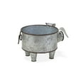thumbnail image 4 of Home Decorative Galvanized Metal Piglet Planter, 4 of 6