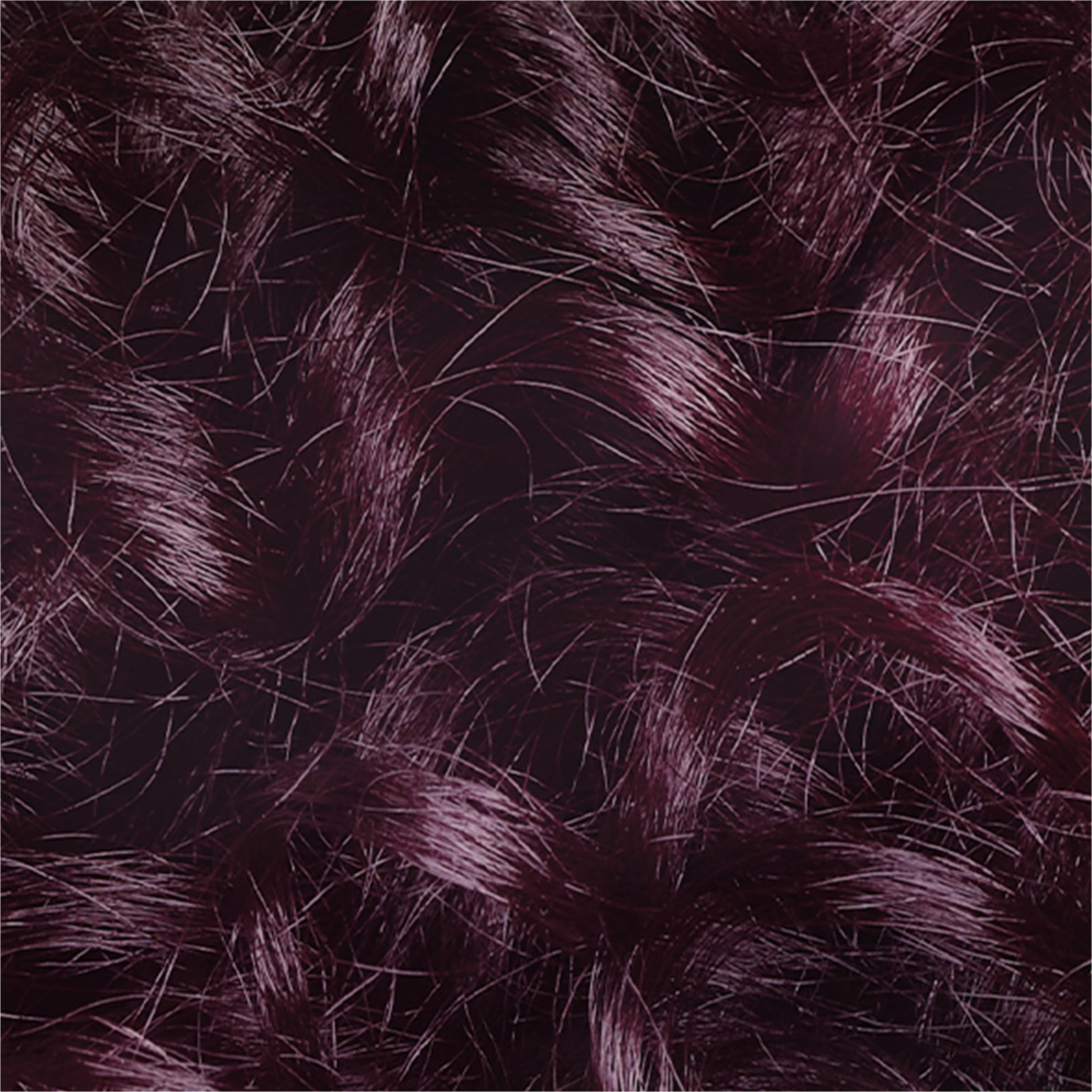 L'Oreal Paris Le Color Gloss one Step Hair Color Toning Gloss, Iridescent Plum Purple, 4 fl oz