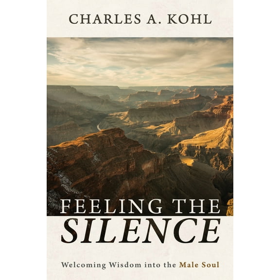 Feeling the Silence (Hardcover)