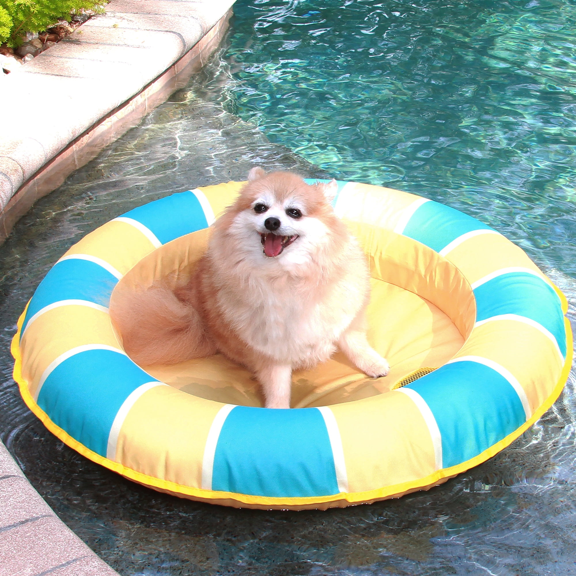 Vibrant Life Pet Pool Float for Dogs